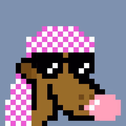 The Saudis Camels #130