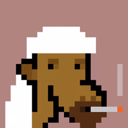 The Saudis Camels #720