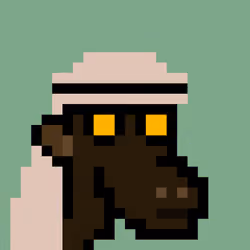 The Saudis Camels #843