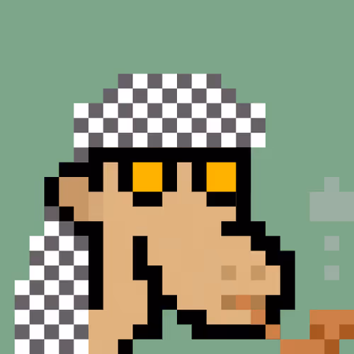 The Saudis Camels #283