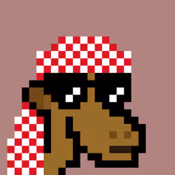 The Saudis Camels #889