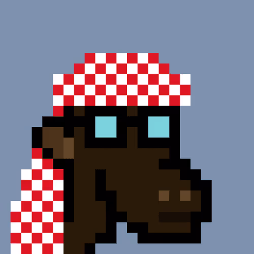 The Saudis Camels #173