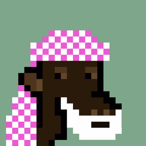 The Saudis Camels Official