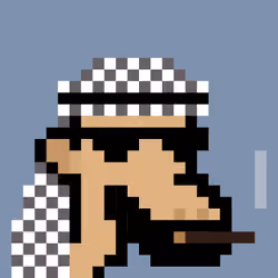 The Saudis Camels #663