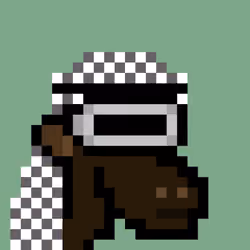 The Saudis Camels #822