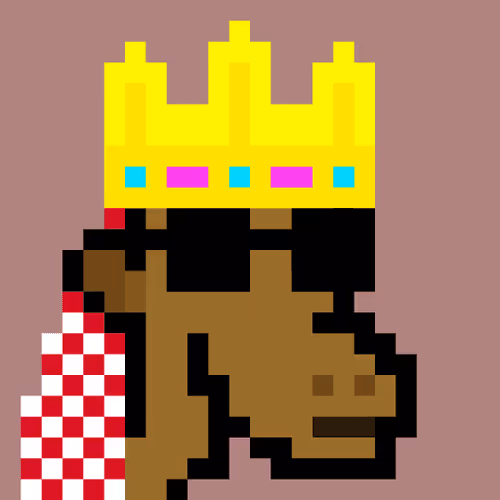The Saudis Camels #249