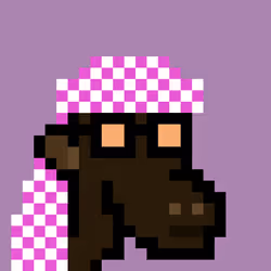 The Saudis Camels #632