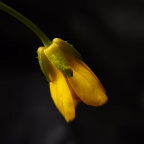 Loneliness in the dark