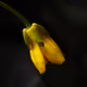 Loneliness in the dark