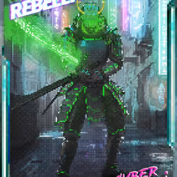 Cyber Samurai
