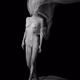 The body is art!