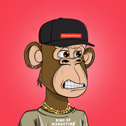 Item Media