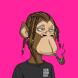 3000
