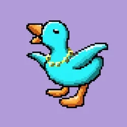 Duck #169