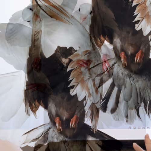 22 Pigeons #15