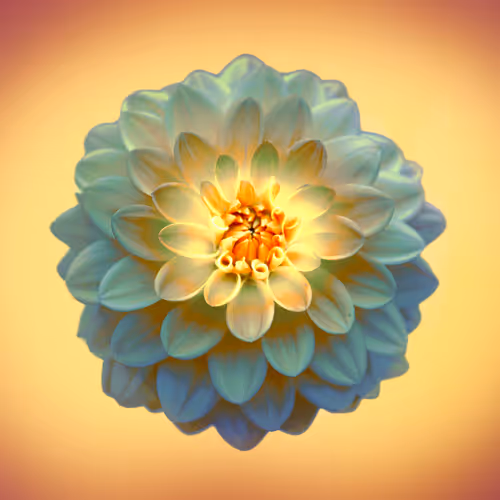 ORBIT by Samantha Cavet