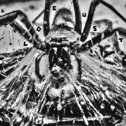 LOCUST #64