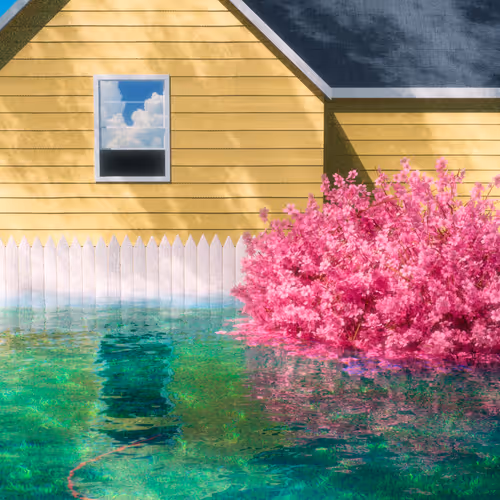 The Suburbs 1