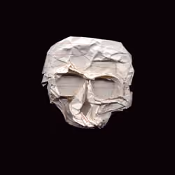 Crushagami Skull