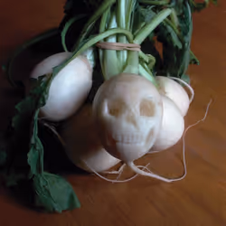 Turnip Skull