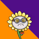 Bad Seeds #96