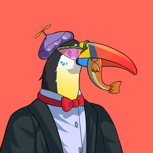 Toucans Club #19