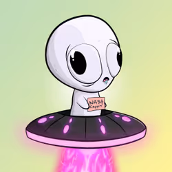 2976