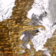 25200060003