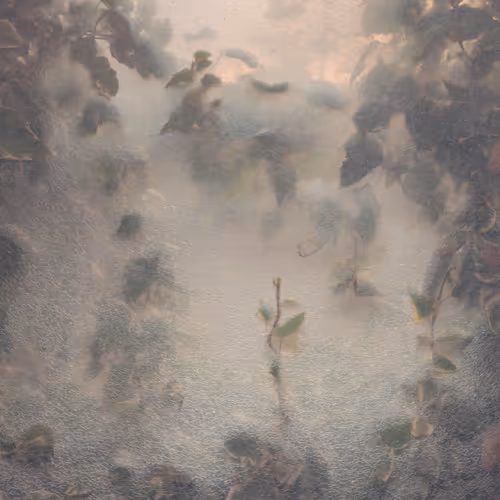 Pretty Mundane Volume 1