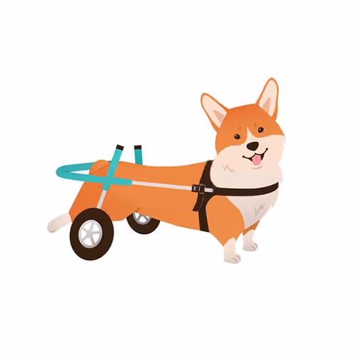 Gaba Inu