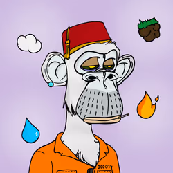 51