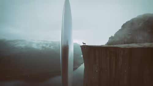 Item #132000100001 Media