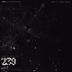 239