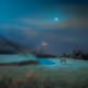 Taysa Jorge: Solitude