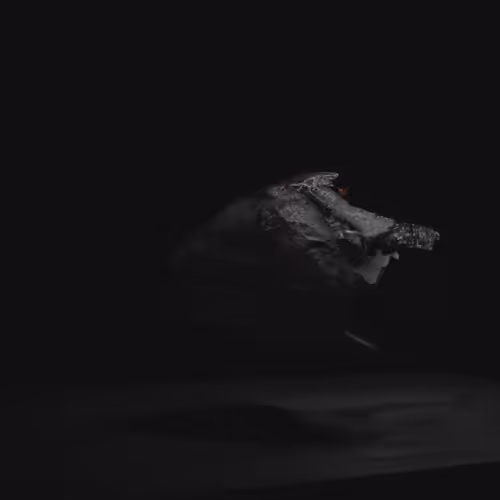 IT MATTERS WHAT YOU SEE!