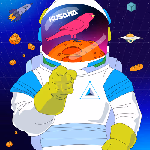 Robonomics Pioneer Set