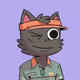 ODD CATS #779