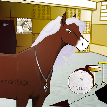 60th Band Horse Fren
