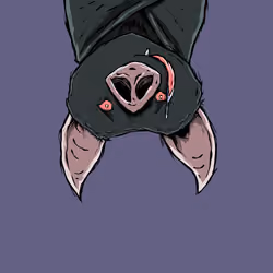 Moon Bats #7551