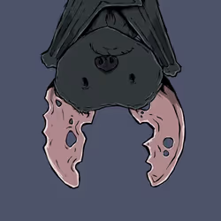 9554