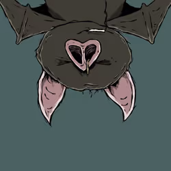 Moon Bats #177