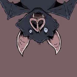 Moon Bats #5941