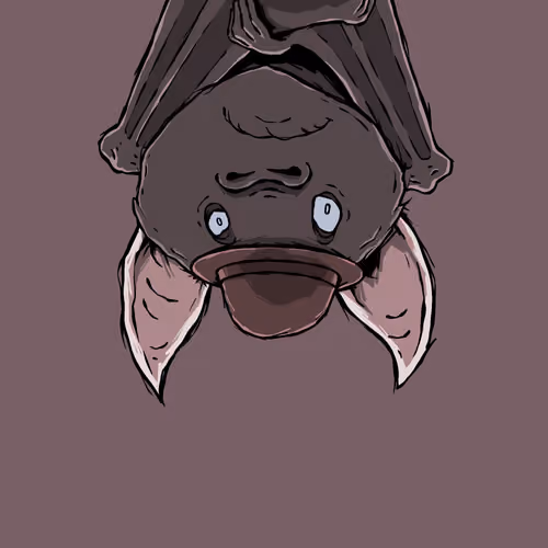 Moon Bats #4914