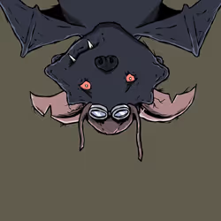 3494