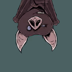 Moon Bats #6429
