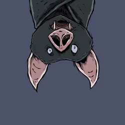7941