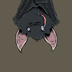 Moon Bats #8716