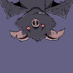 5502