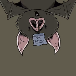 Moon Bats #4808