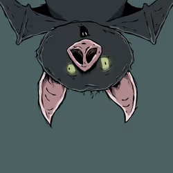 Moon Bats #3214